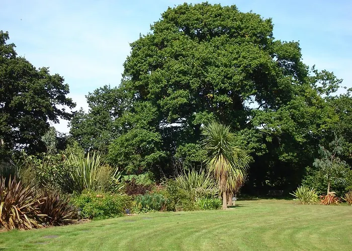 Bed & Breakfast Manoir De Savigny 3*