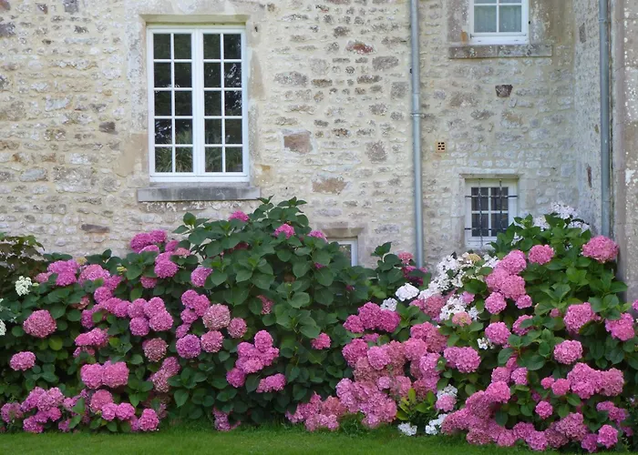 Bed & Breakfast Manoir De Savigny Valognes