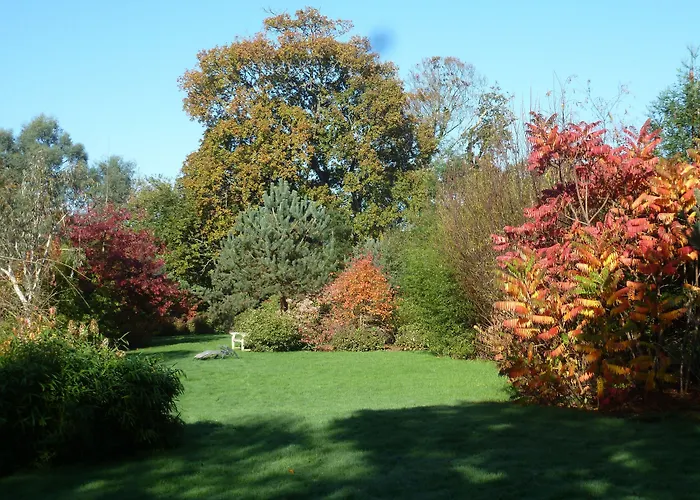 Bed & Breakfast Manoir De Savigny 3*