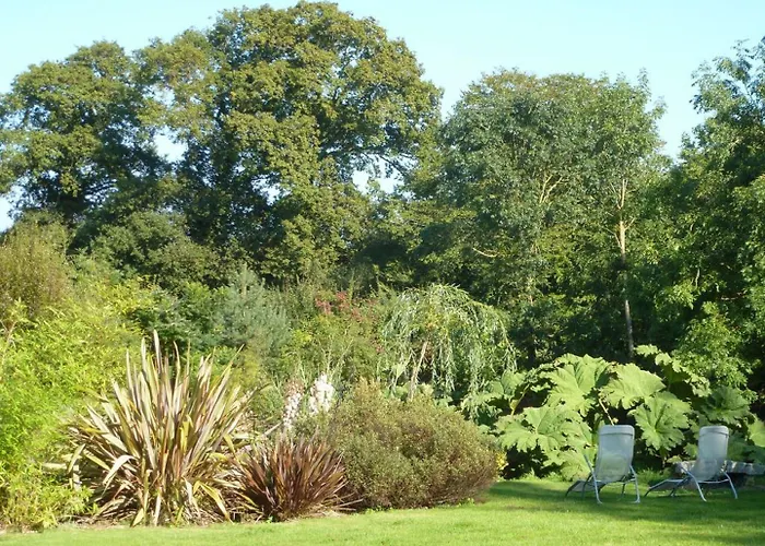 Manoir De Savigny Bed & Breakfast