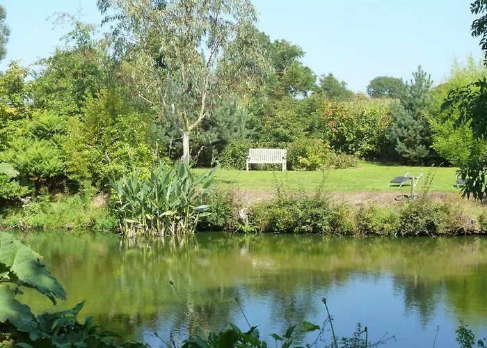 Bed & Breakfast Manoir De Savigny 3*