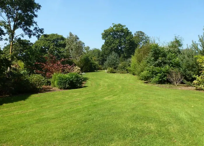 Bed & Breakfast Manoir De Savigny