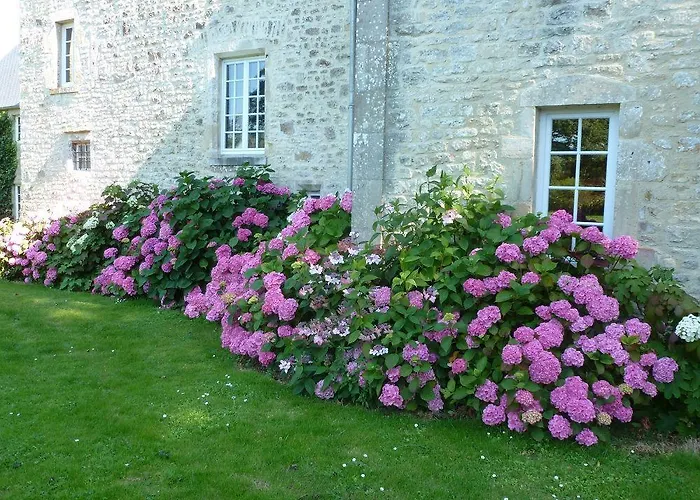 Manoir De Savigny Bed & Breakfast 3*